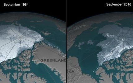 В Північному Льодовитому океані увесь лід може зникнути до 2050 року - учені