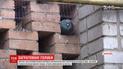 Гнізда голубів і самих птахів огородили ґратами на Запоріжжі