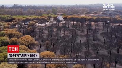 Новини світу: лісові пожежі охопили південь Португалії - полум'я вже випалило 9 тисяч гектарів