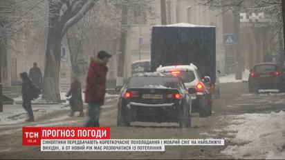 З початком нового року синоптики віщують чергову порцію потепління