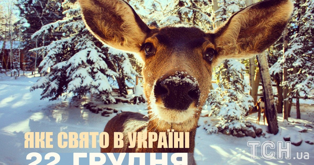Какой праздник 22 декабря 2025 года