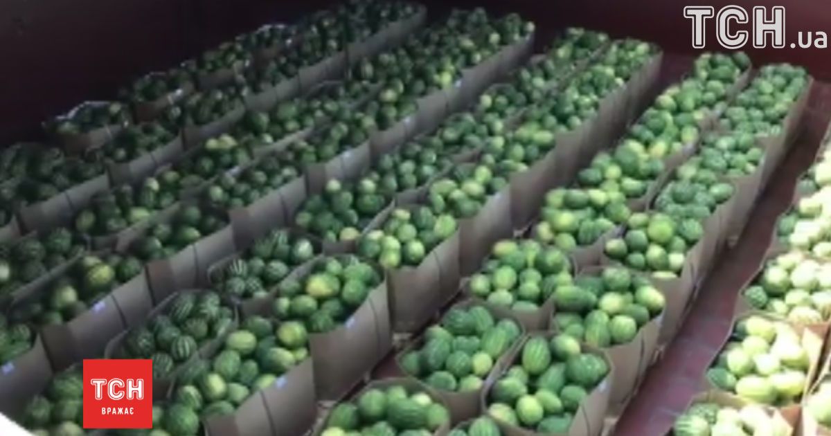 Кавуни зустріли у Переяславі-Хмельницькому