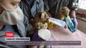 Тройня львят родилась в техасском зоопарке
