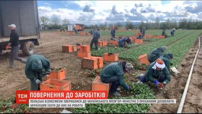Возвращение к заработкам: как украинцы на карантине выезжают в Польшу