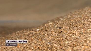 Розводять руками: українські фермери не знають, куди і як вивозити своє зерно