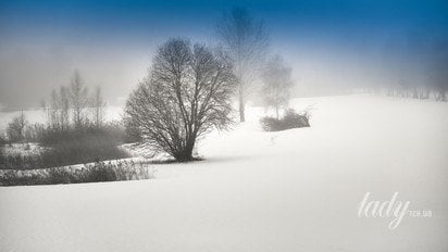 Гороскоп на 26 декабря