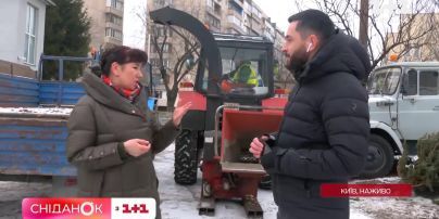 Збираємо на перероблення ялинки: в українських містах запрацювали пункти приймання новорічних дерев