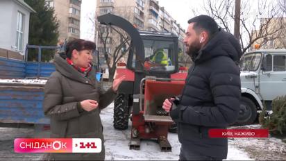 Собираем на переработку елки: в украинских городах заработали пункты приема новогодних деревьев