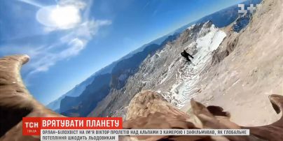 Орел Виктор снял, как климатические изменения разрушают горные ледники в Альпах