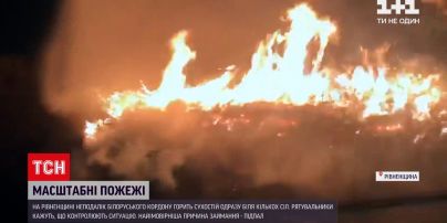 Новини України: рятувальники, лісники та місцеві пожежні команди приборкують полум'я у Рівненській області