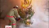 Рятувальники нагадали українцям, як не спалили свою ялинку на Новий рік