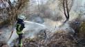 У Луганській області загорілася трава: пожежники локалізували пожежу