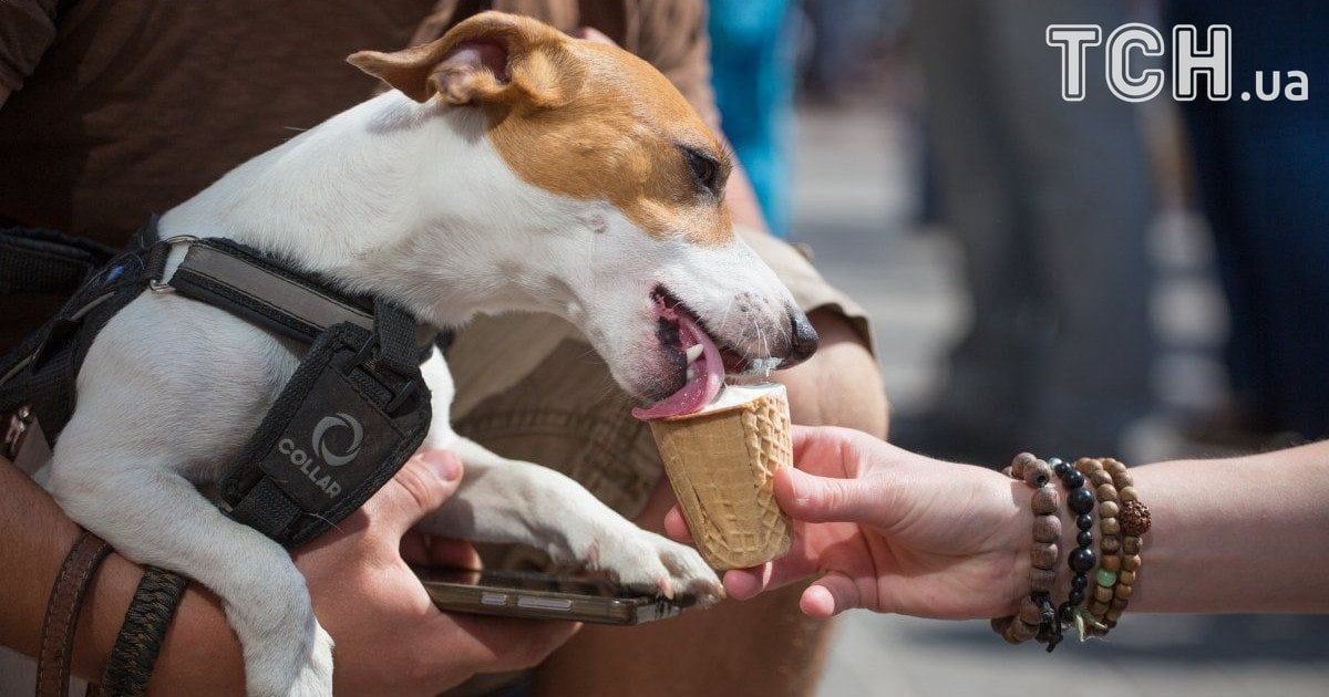 У Києві через спеку обмежили рух транспорту