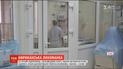 Во Львове 43-летний предприниматель впал в кому после укуса малярийного комара