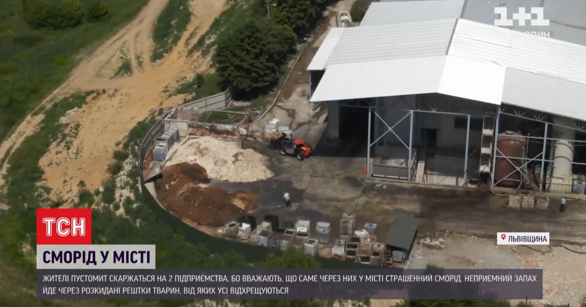 Розкидані рештки дохлих тварин: жителі міста під Львовом нарікають на нестепний сморід через два підприємства