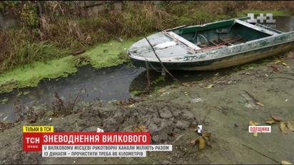 Загроза екологічної катастрофи: Вилкове може втратити статус "української Венеції"
