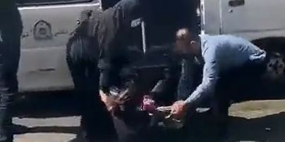 В столице Ирана полиция применила к женщине шест для отлова собак: видео