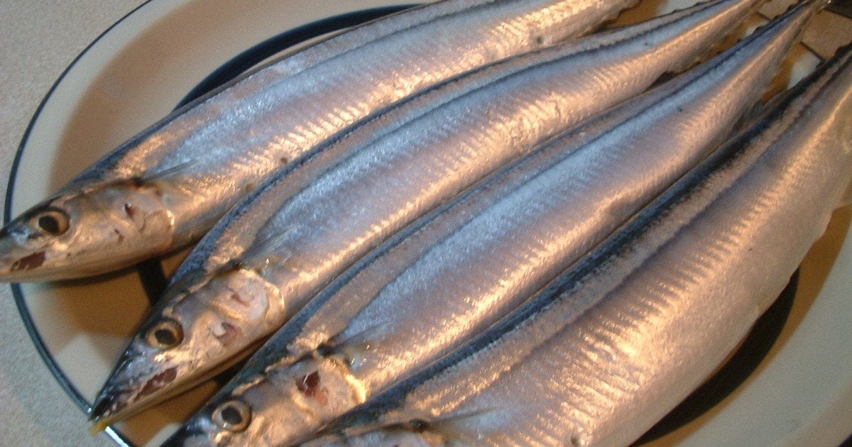 Яка риба корисніша за червону та в рази дешевша
