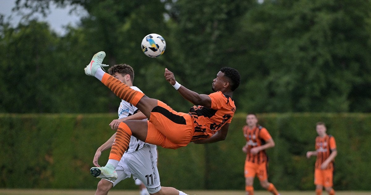 "Шахтар" – "Гориця"