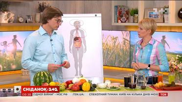 Рацион в жару: что есть и пить, когда на улице +30