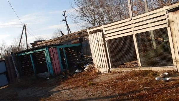  / © Головне управління національної поліції Київської області