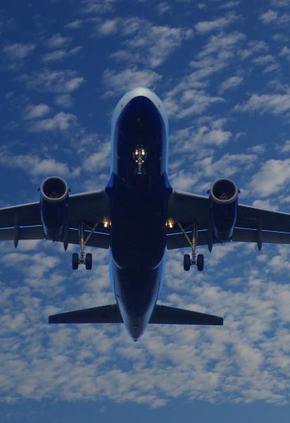 Літак Lufthansa не вилетів до України через страх екіпажу перед війною: в МАУ взялися виправляти ситуацію