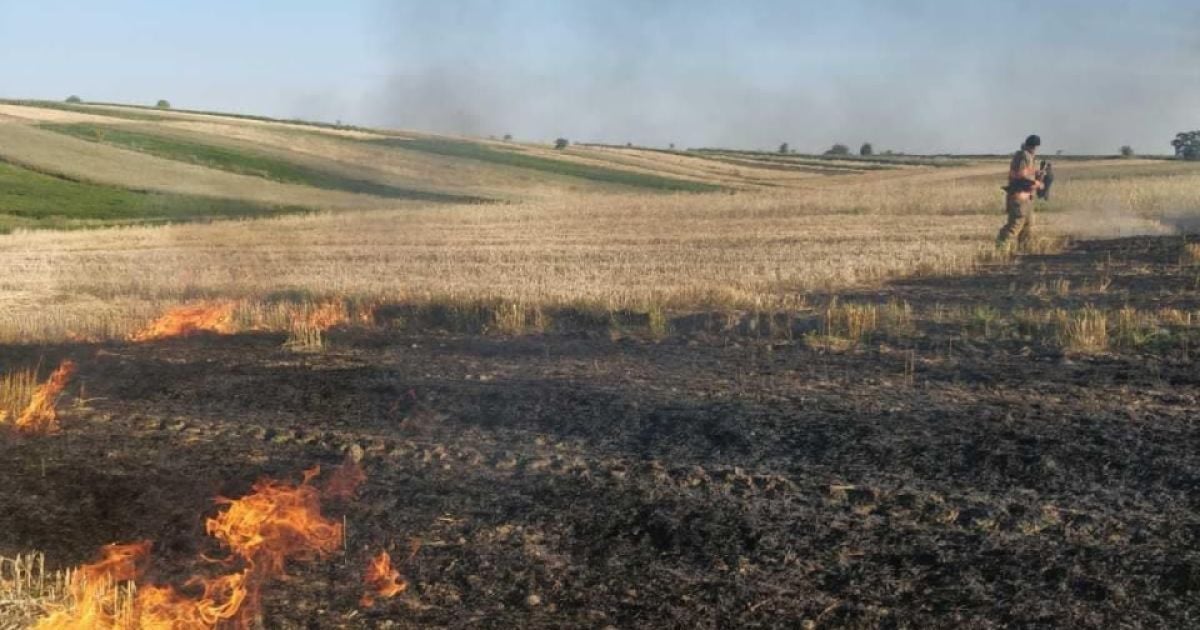 В Ивано-Франковской области погибли три человека в результате сжигания сухостоя: фото