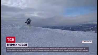 Погода в регионах, зима в Украине разыгралась по-настоящему