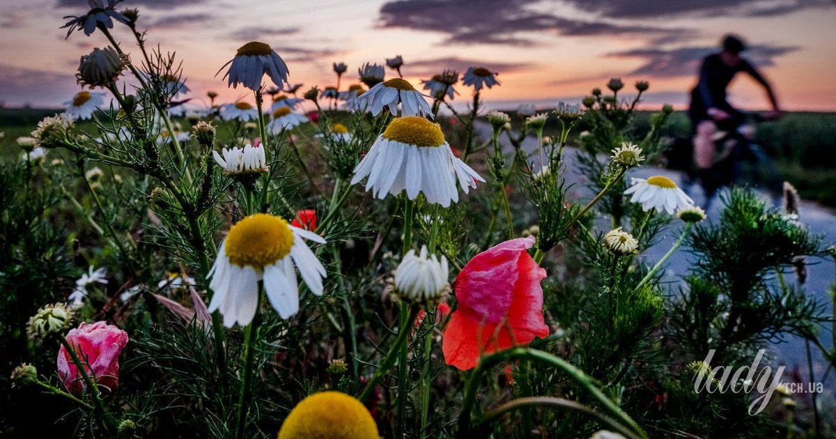 Коли насправді починається весна