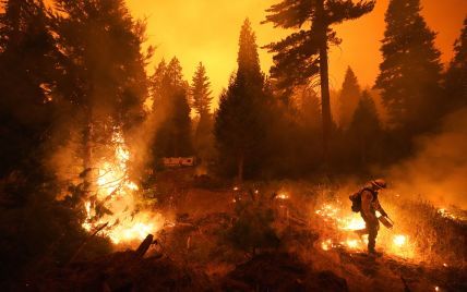 Пожары в Калифорнии достигли рекордных масштабов