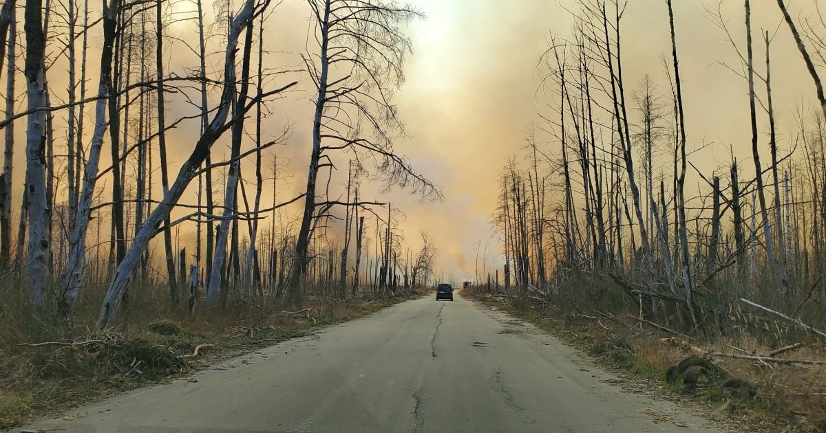 Масштабні пожежі вже знищили понад 11 гектарів заповідника в Чорнобильській зоні