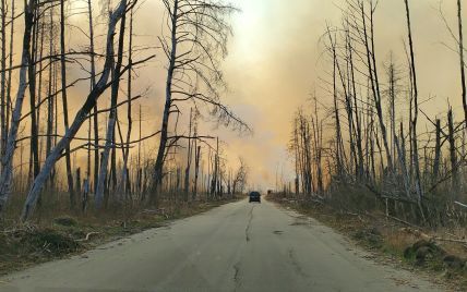 Масштабные пожары уже уничтожили больше 11 гектаров заповедника в Чернобыльской зоне