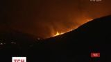 В Чили выгорело более двух тысяч гектаров лесов