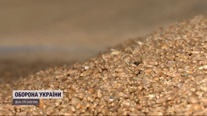 Разводят руками: украинские фермеры не знают, куда и как вывозить свое зерно