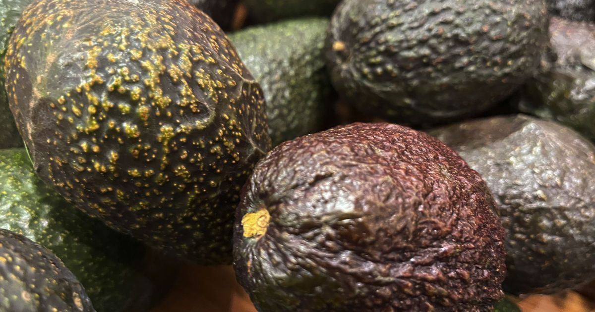Чи можна їсти потемнілий авокадо