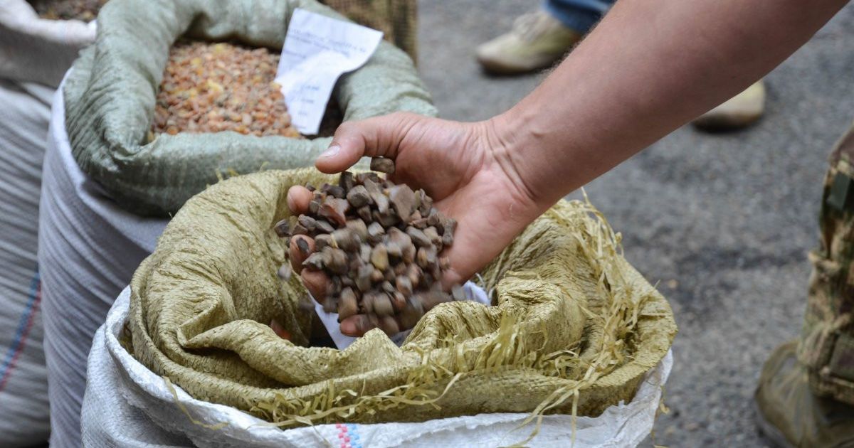 Несколько фигурантов "Янтарного дела" уже вышли на свободу