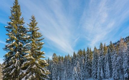 Прогноз погоды на 22 января: в Украине будут снег, туман и плюсовые температуры.