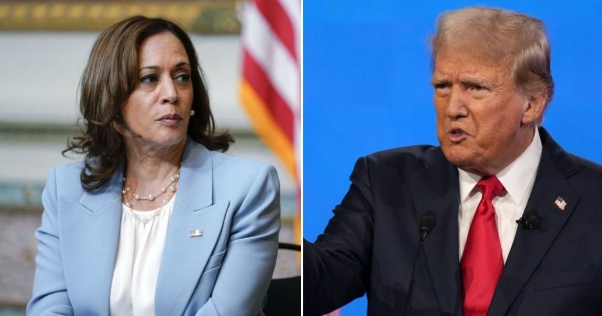 Камала Гарріс і Дональд Трамп / Колаж: ТСН.ua