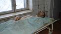Україна готова віддати тіло загиблого для поховання