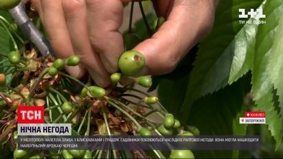 Погода в Україні: у Мелітополі випала десятиденна норма опадів - місцеві побоюються наслідків зливи