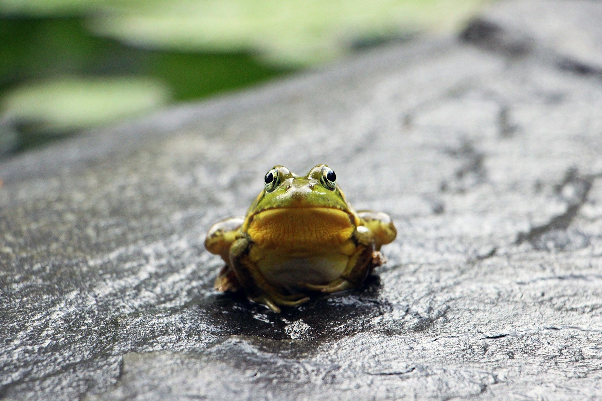 Народні прикмети 1 вересня / © Unsplash