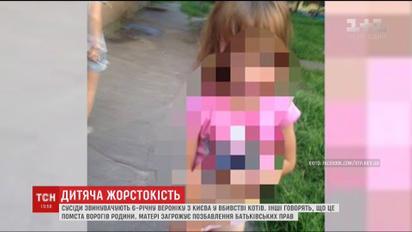 Сусіди звинувачують 6-річну дівчинку в масових убивствах котів і голубів