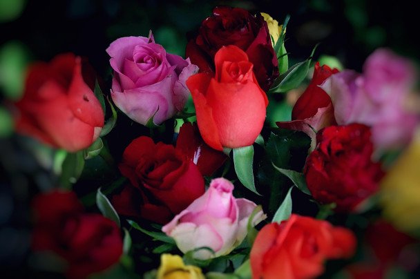 День ангела 29 травня — душевні привітання в прозі / © Pixabay