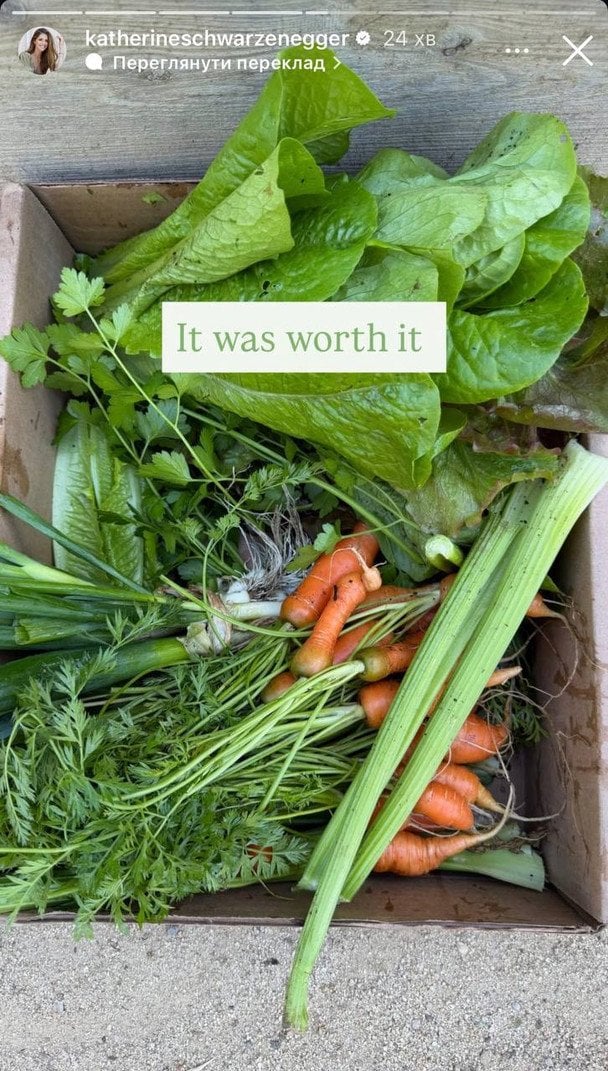 Урожай Кетрін Шварценеггер