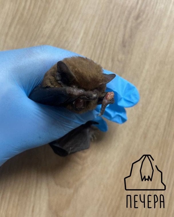  / © Інстаграм