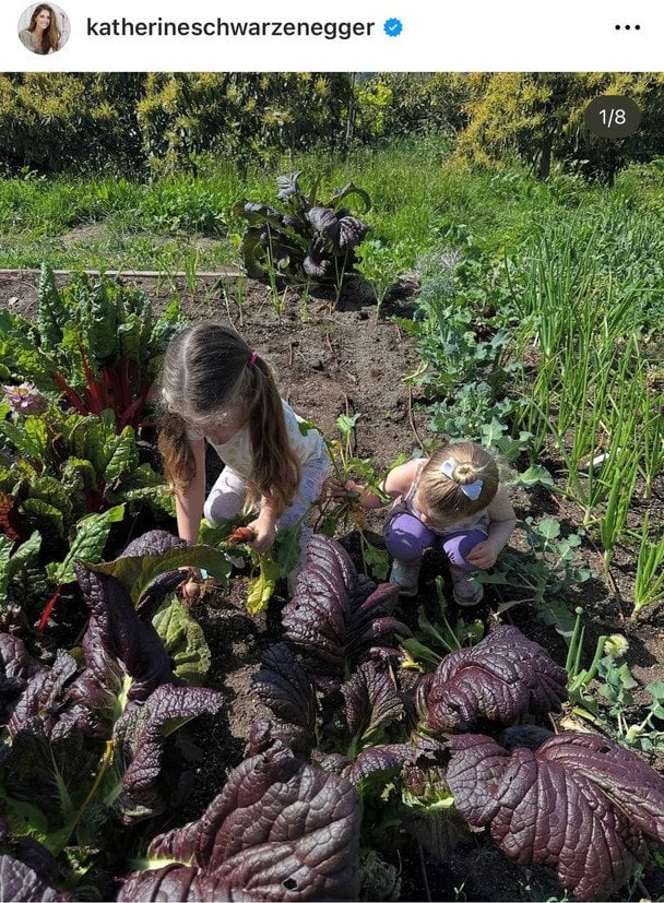 Діти Кетрін Шварценеггер