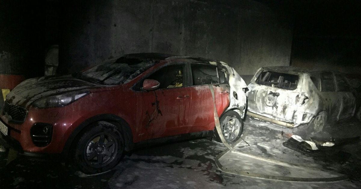 пожежа на паркінгу_3 / © Управління ДСНС Києва