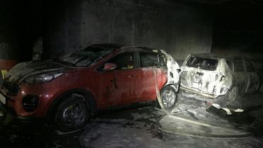 пожежа на паркінгу_3 / © Управління ДСНС Києва