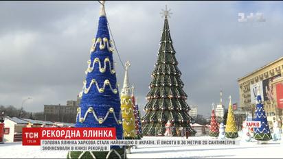 Харьковская елка попала в книгу рекордов Украины