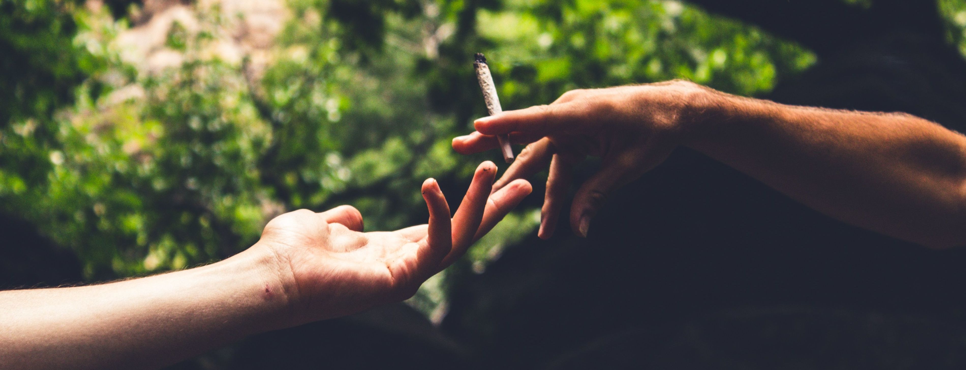 Неочікуваний наслідок легалізації: підлітки вживають менше марихуани, якщо вона узаконена